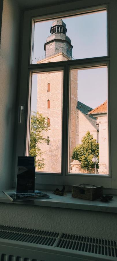 Ferienwohnung Trinitatis 손더스하우젠 외부 사진